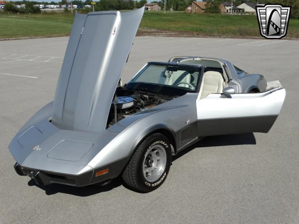 1978 Chevrolet Corvette C3 - Image 13 of 21