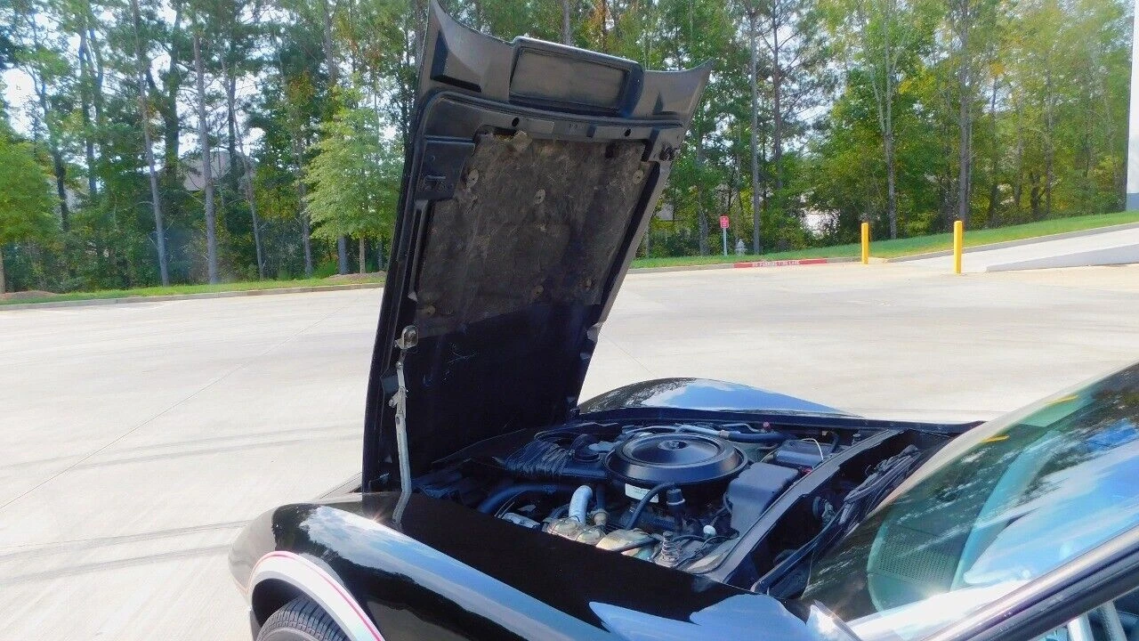 1978 Chevrolet Corvette C3 - Image 19 of 21