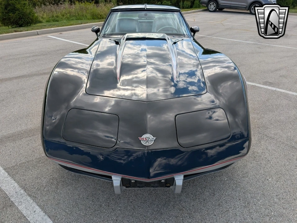1978 Chevrolet Corvette C3 - Image 11 of 12