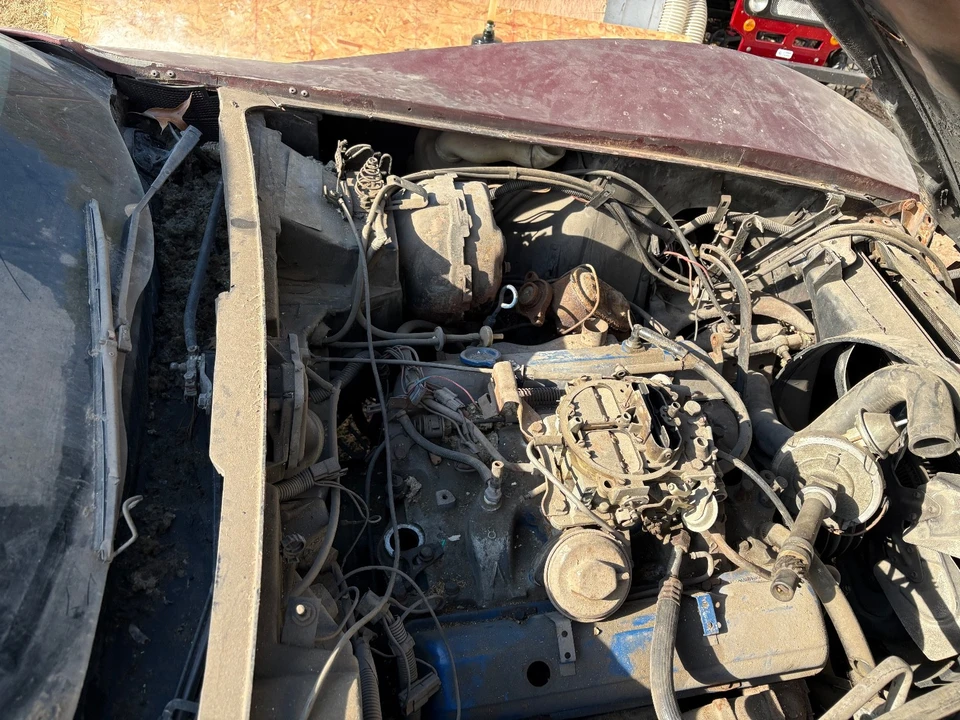 1978 Chevrolet Corvette C3 - Image 5 of 16