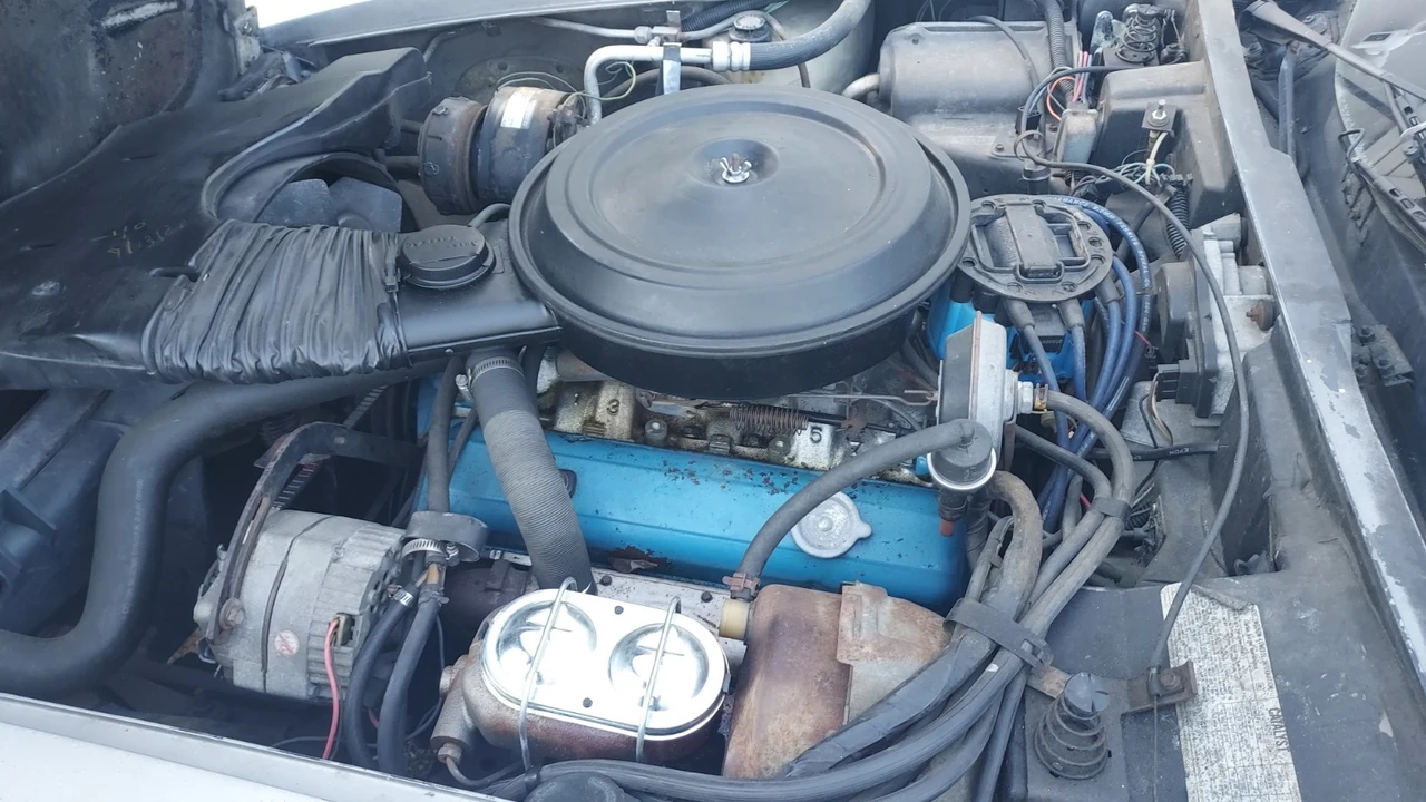 1978 Chevrolet Corvette C3 - Image 3 of 13