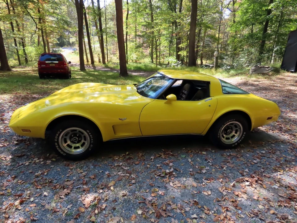 1978 Chevrolet Corvette C3 - Image 11 of 21