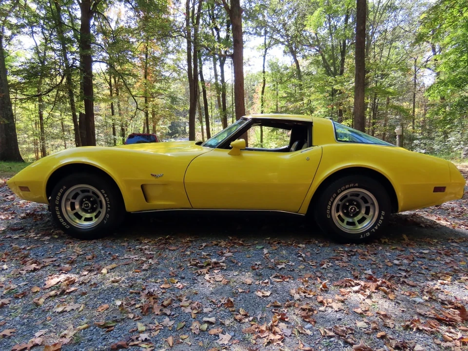 1978 Chevrolet Corvette C3 - Image 10 of 21