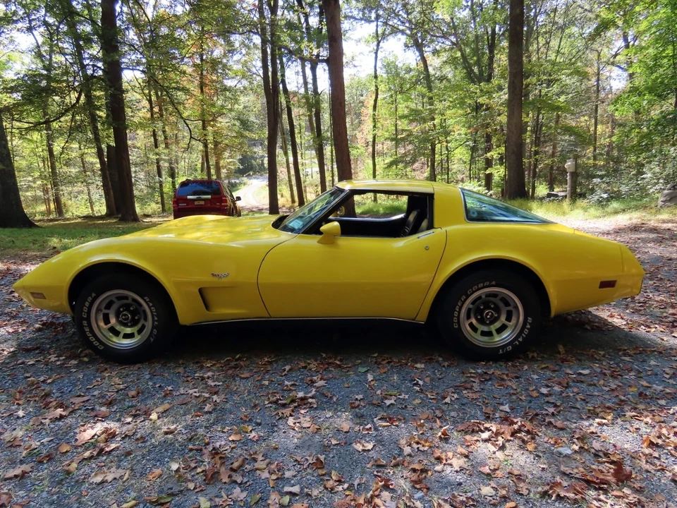 1978 Chevrolet Corvette C3 - Image 8 of 21