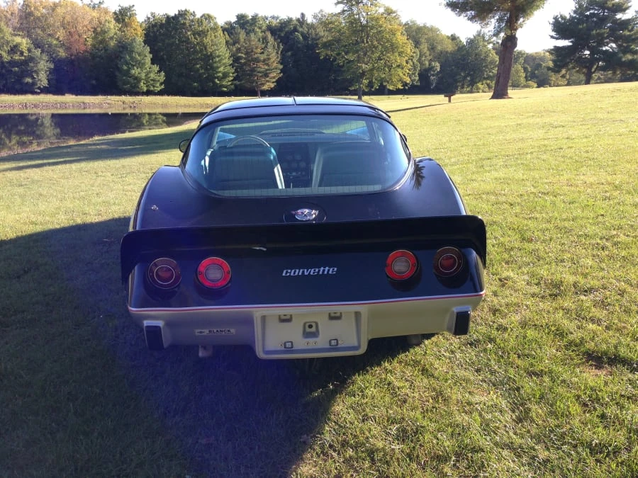 1978 Chevrolet Corvette C3 - Image 3 of 8