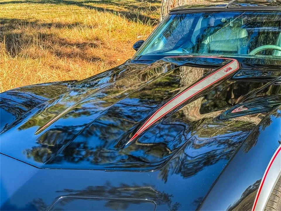 1978 Chevrolet Corvette C3 - Image 4 of 31