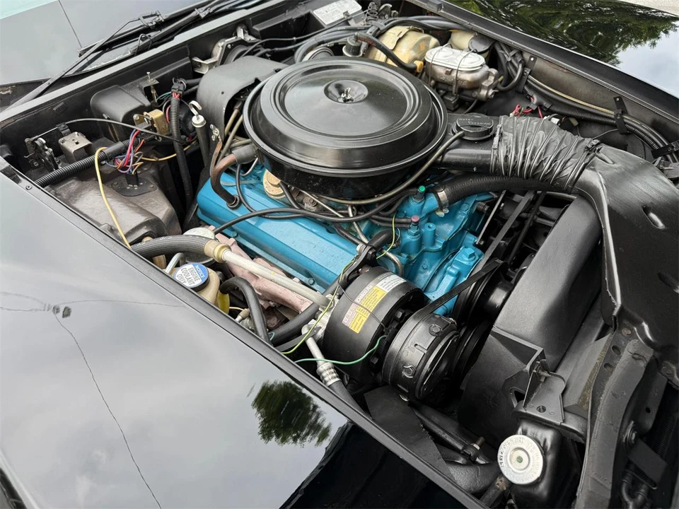 1978 Chevrolet Corvette C3 - Image 25 of 31