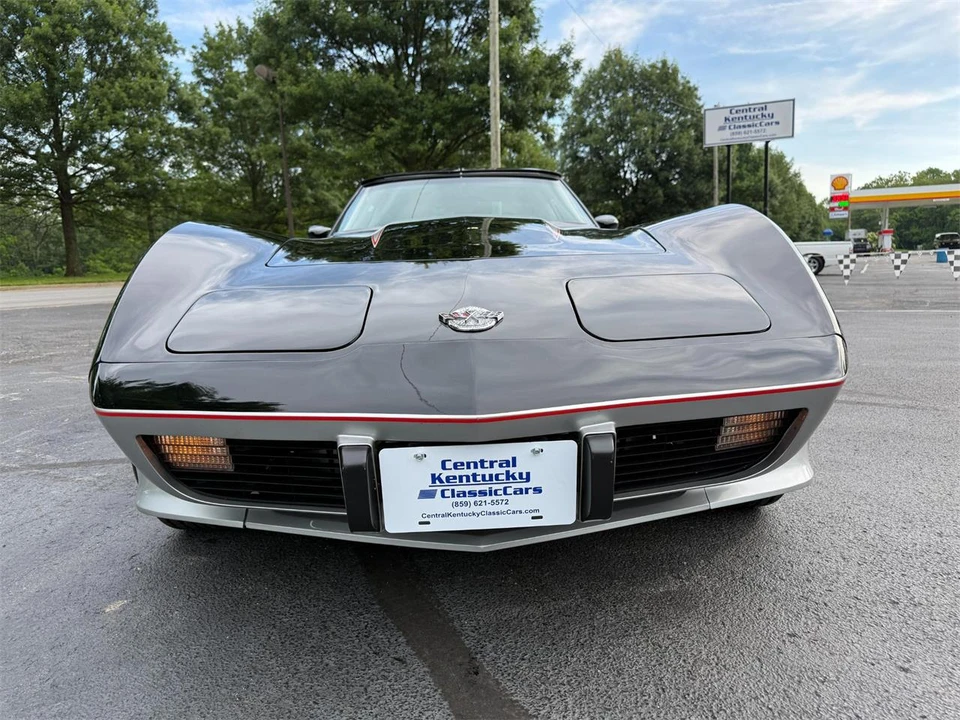 1978 Chevrolet Corvette C3 - Image 11 of 31