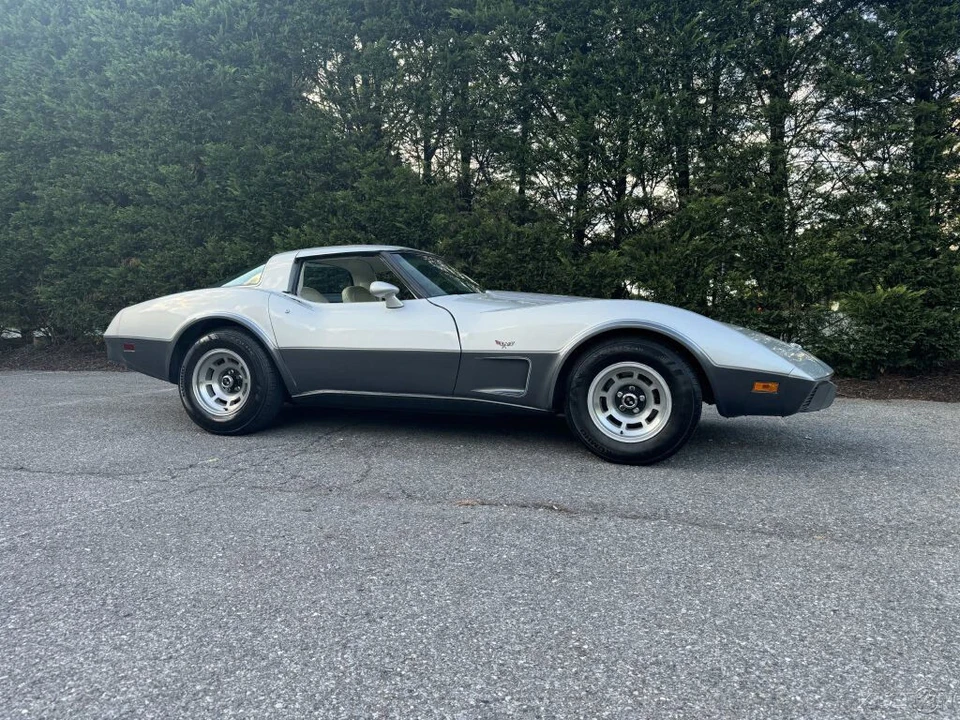 1978 Chevrolet Corvette C3 - Image 10 of 24