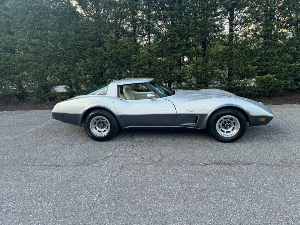 1978 Chevrolet Corvette C3 - Image 11 of 24