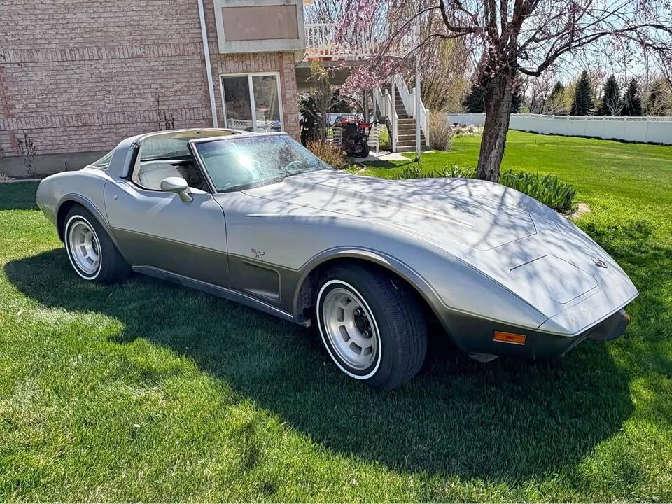 1978 Chevrolet Corvette C3 - Image 1 of 9