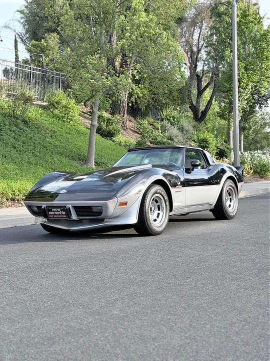 1978 Chevrolet Corvette C3 - Image 1 of 9