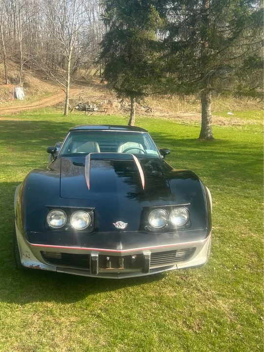 1978 Chevrolet Corvette C3 - Image 3 of 21