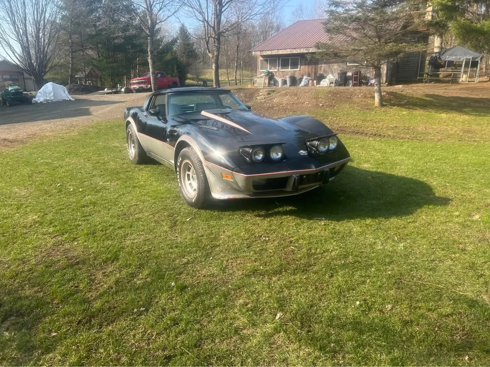 1978 Chevrolet Corvette C3 - Image 8 of 21