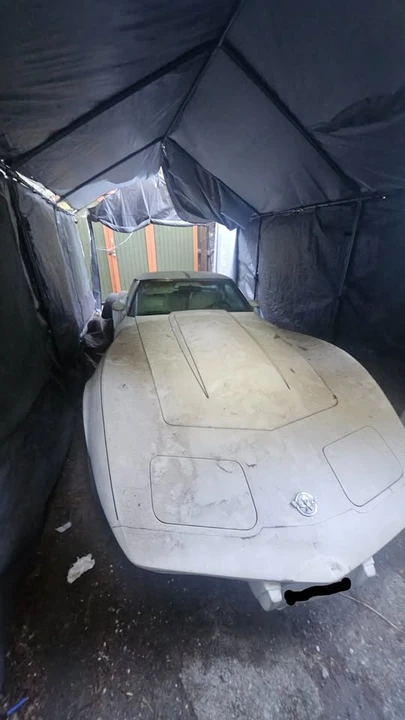 1978 Chevrolet Corvette C3 - Image 2 of 10