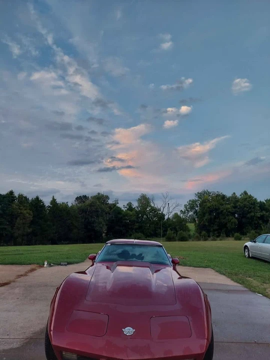 1978 Chevrolet Corvette C3 - Image 10 of 14