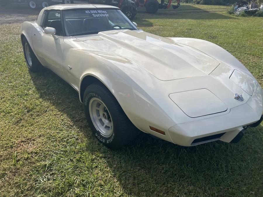 1978 Chevrolet Corvette C3 - Image 8 of 12