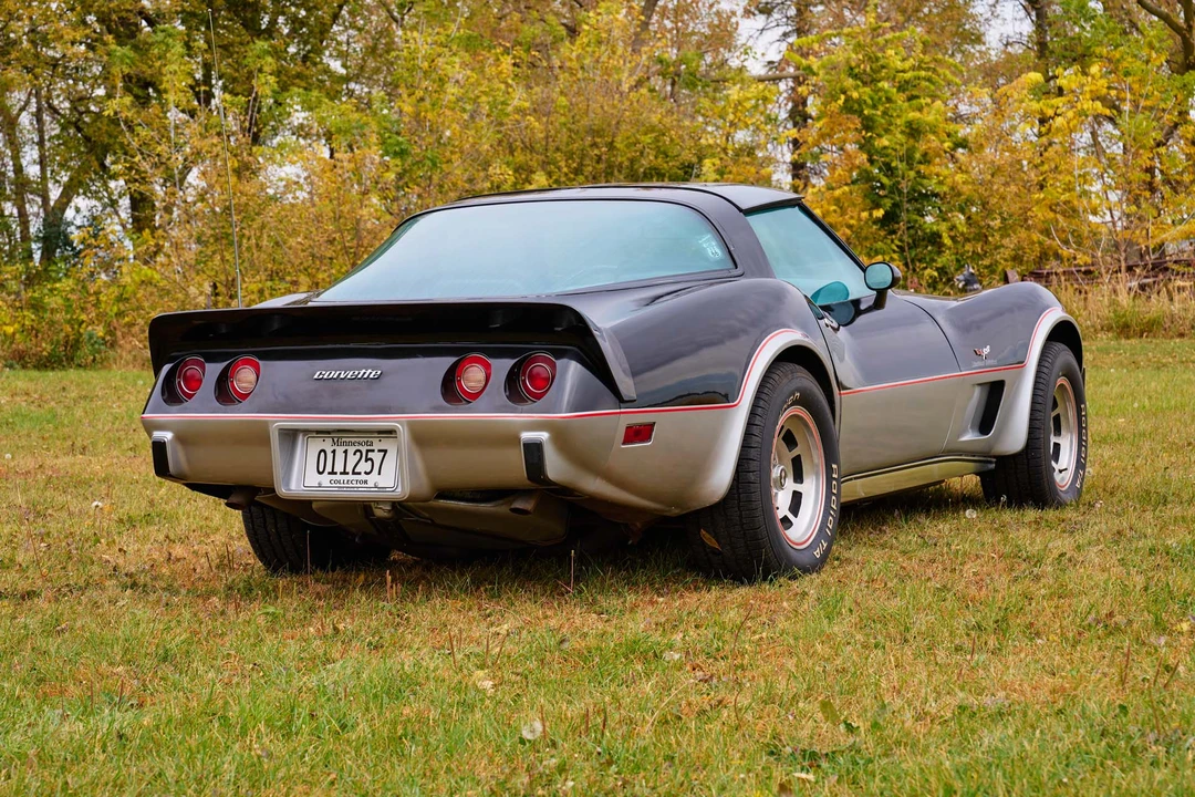 1978 Chevrolet Corvette C3 - Image 10 of 31
