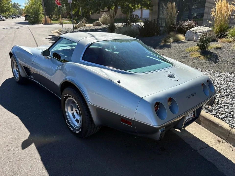 1978 Chevrolet Corvette C3 - Image 19 of 21
