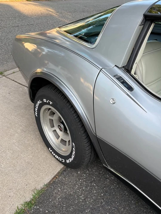 1978 Chevrolet Corvette C3 - Image 8 of 19