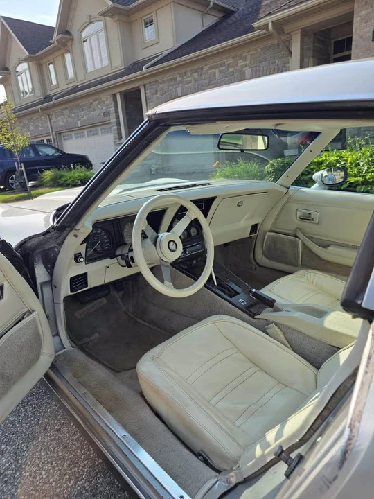 1978 Chevrolet Corvette C3 - Image 6 of 10