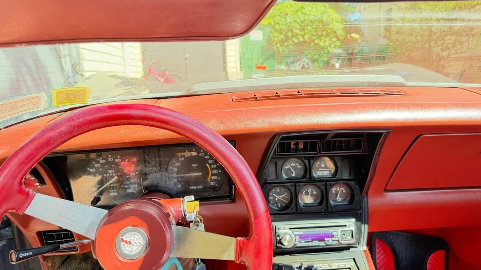 1978 Chevrolet Corvette C3 - Image 19 of 20