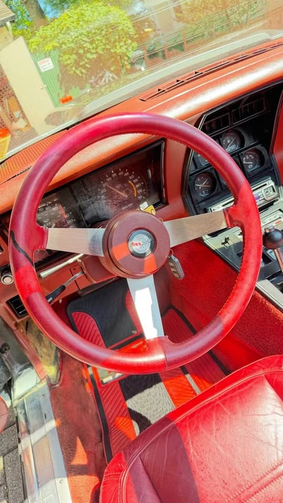 1978 Chevrolet Corvette C3 - Image 14 of 20