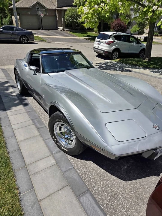1978 Chevrolet Corvette C3 - Image 1 of 11