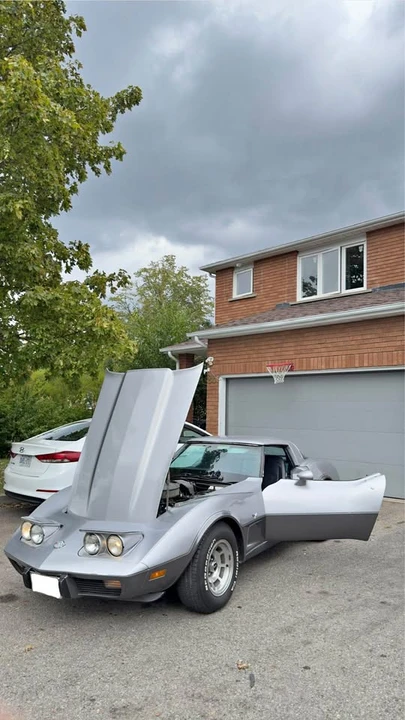 1978 Chevrolet Corvette C3 - Image 1 of 7
