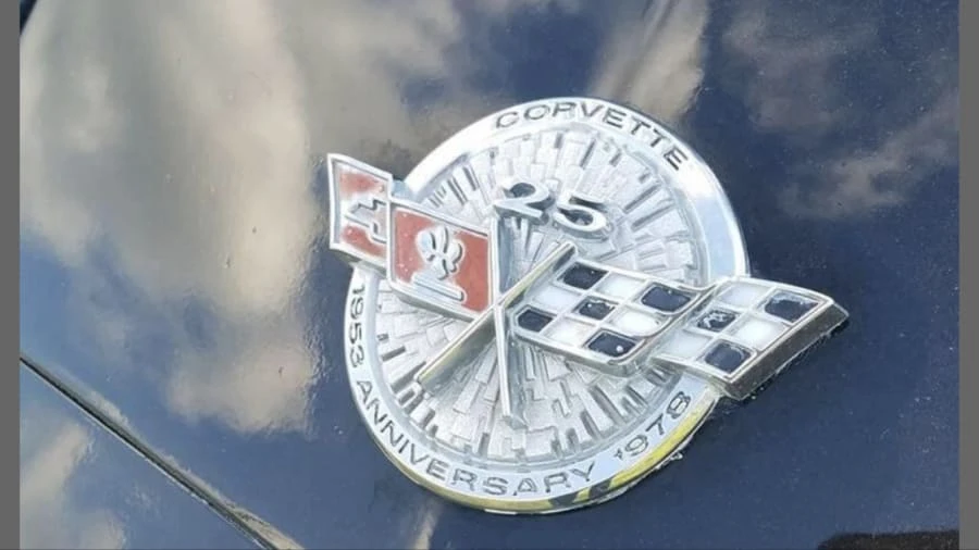 1978 Chevrolet Corvette C3 - Image 11 of 12