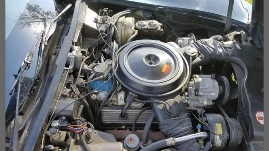 1978 Chevrolet Corvette C3 - Image 8 of 12