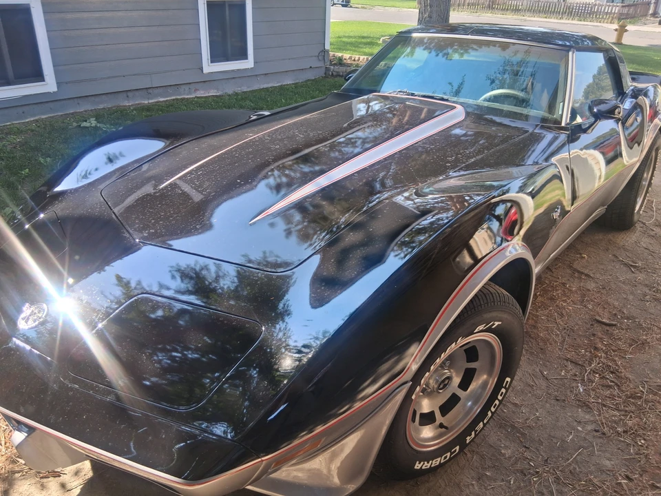 1978 Chevrolet Corvette C3 - Image 15 of 31