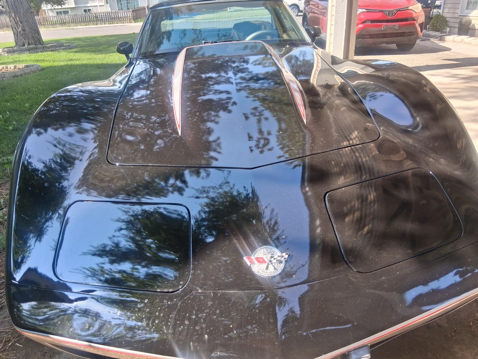 1978 Chevrolet Corvette C3 - Image 18 of 31