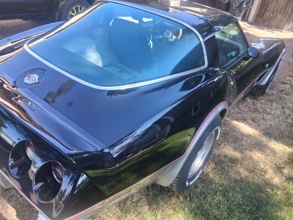 1978 Chevrolet Corvette C3 - Image 16 of 31