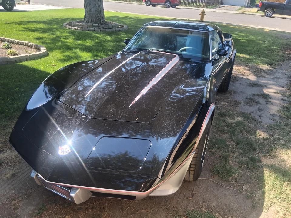 1978 Chevrolet Corvette C3 - Image 3 of 31