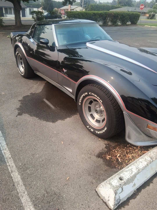 1978 Chevrolet Corvette C3 - Image 29 of 31