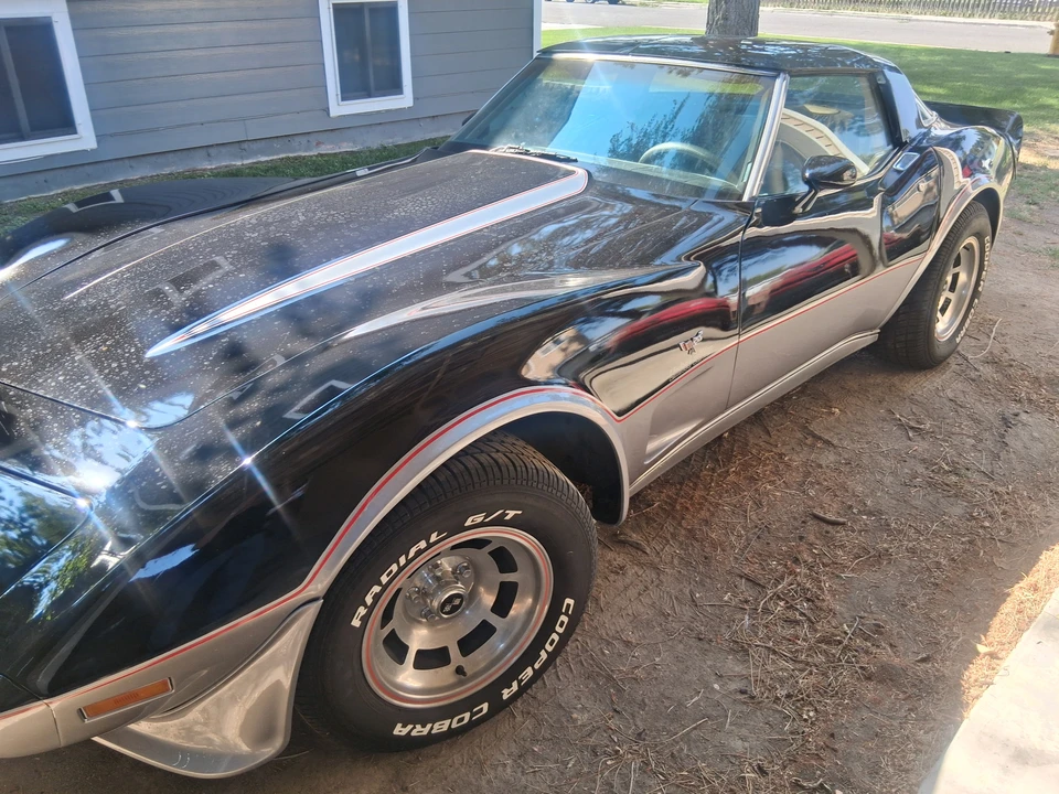 1978 Chevrolet Corvette C3 - Image 17 of 31