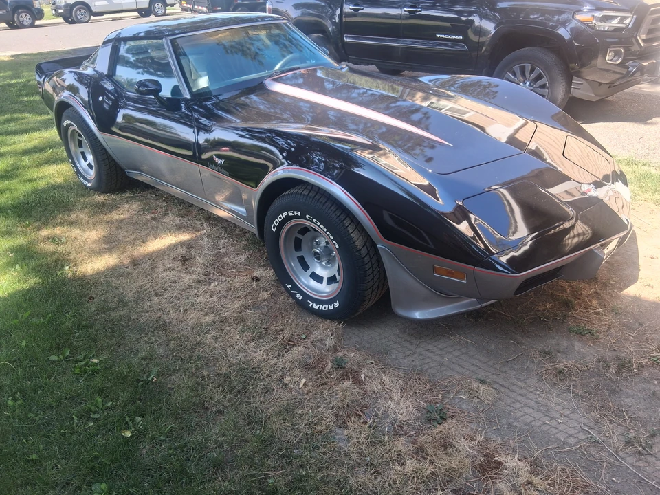 1978 Chevrolet Corvette C3 - Image 6 of 31