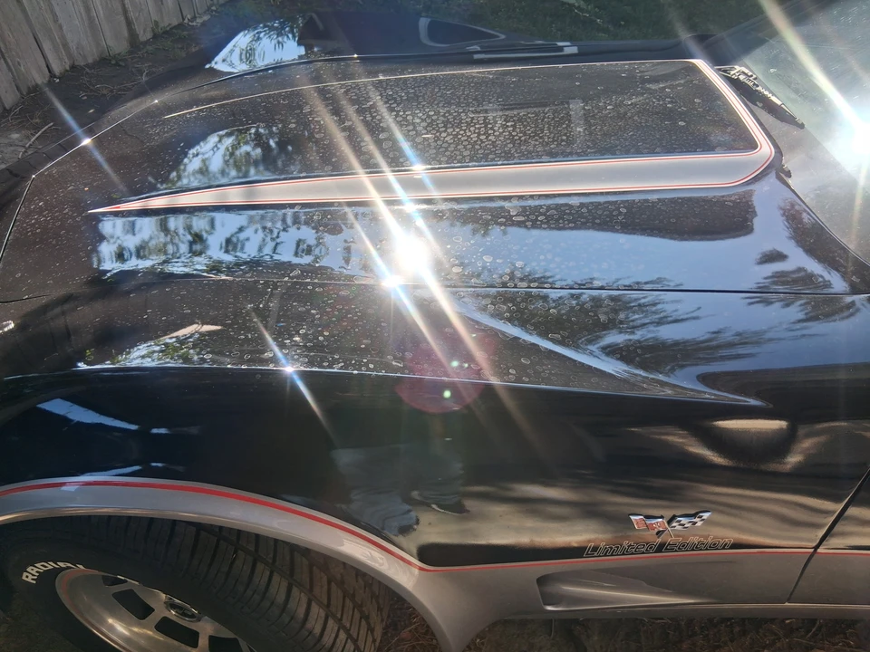 1978 Chevrolet Corvette C3 - Image 20 of 31