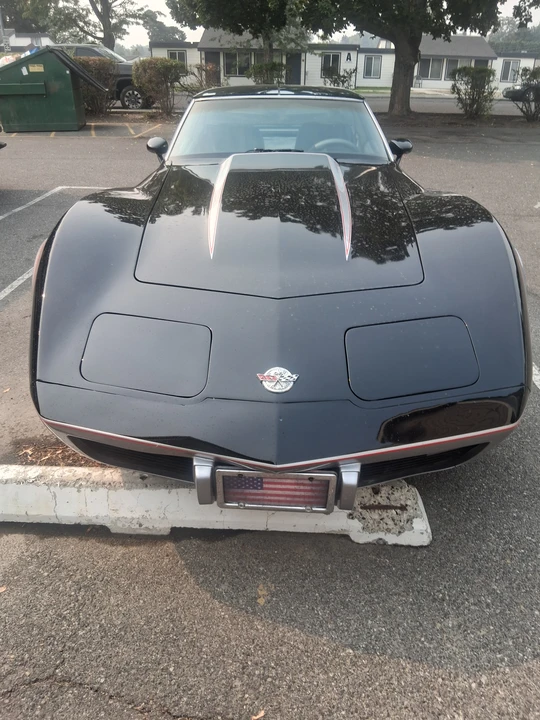 1978 Chevrolet Corvette C3 - Image 31 of 31