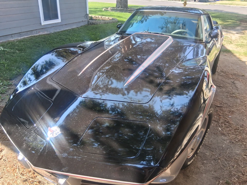 1978 Chevrolet Corvette C3 - Image 2 of 31