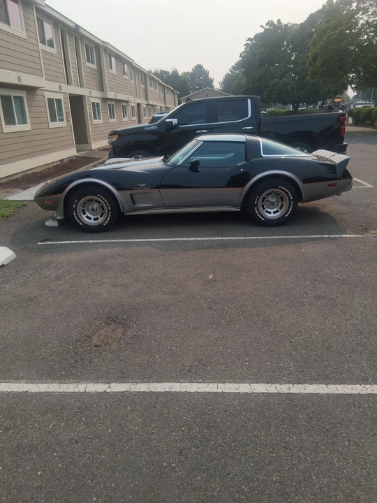1978 Chevrolet Corvette C3 - Image 13 of 31
