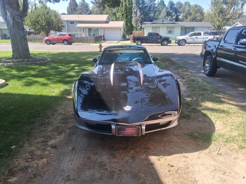 1978 Chevrolet Corvette C3 - Image 4 of 31