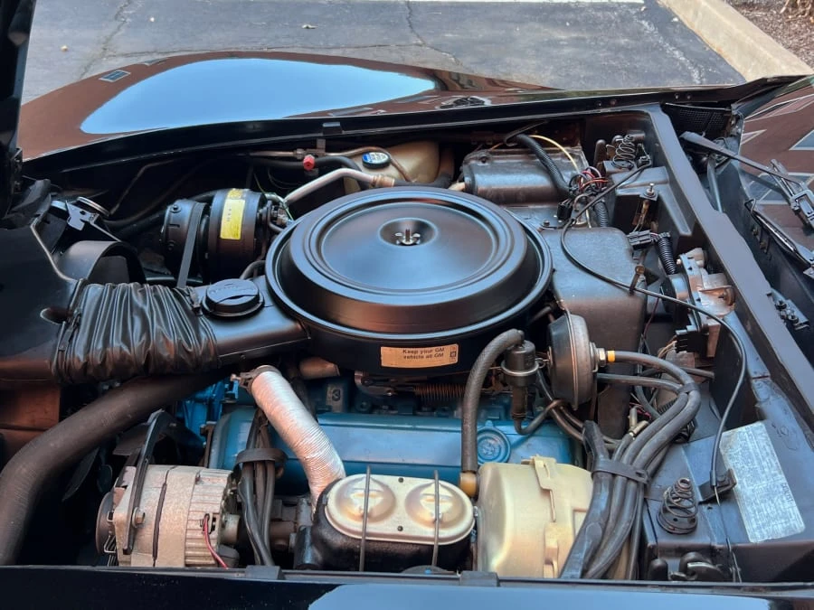 1978 Chevrolet Corvette C3 - Image 10 of 11