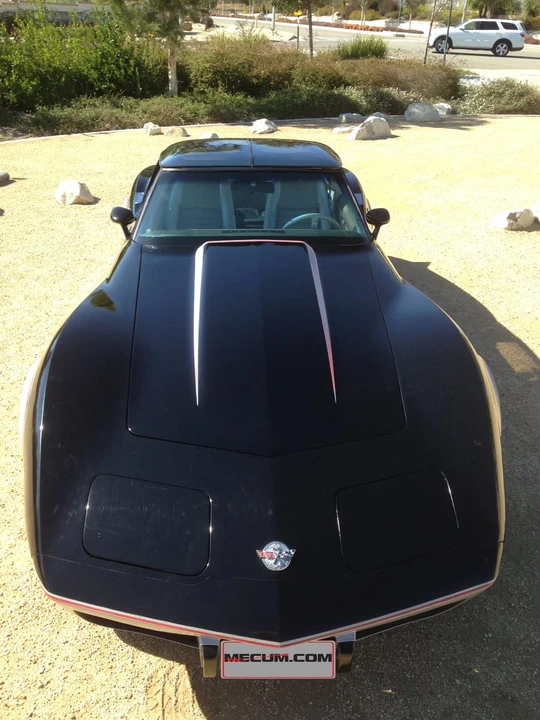 1978 Chevrolet Corvette C3 - Image 8 of 9