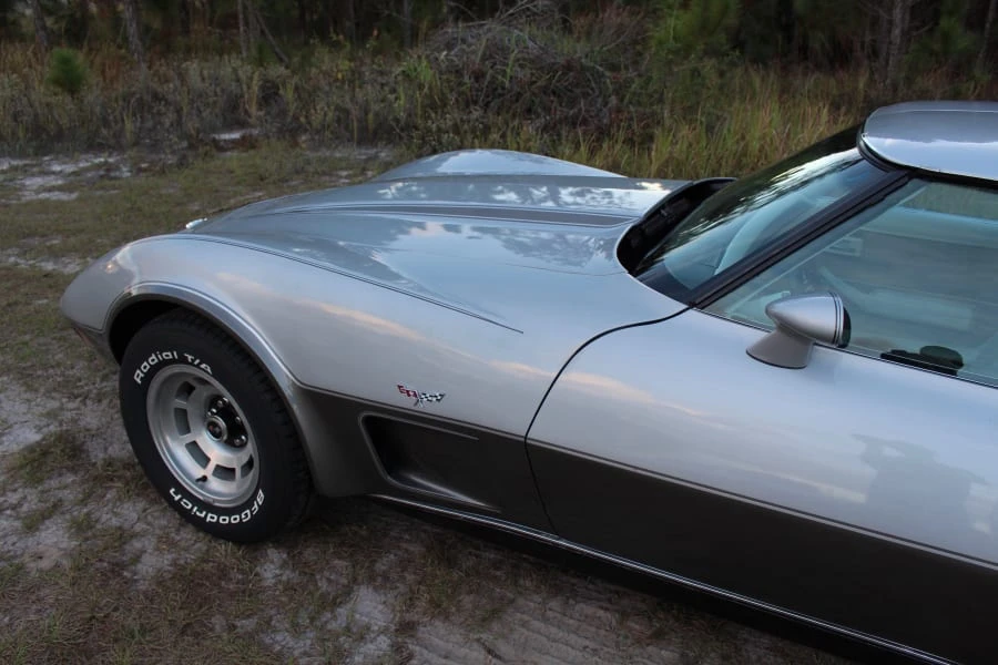 1978 Chevrolet Corvette C3 - Image 10 of 11