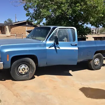 1978 Chevrolet Custom
