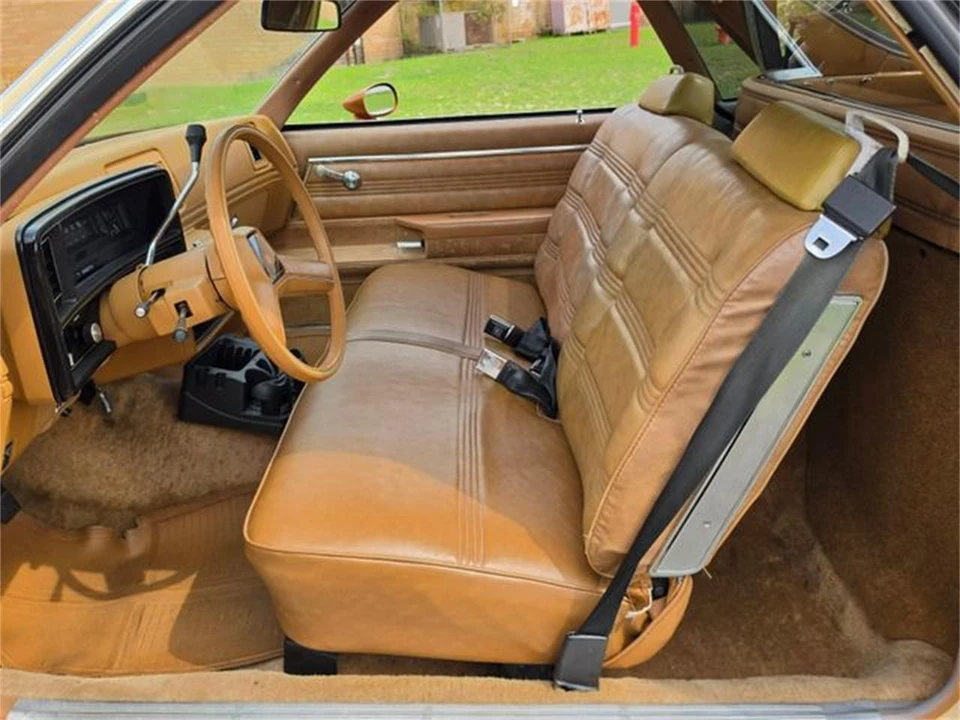 1978 Chevrolet El Camino 5th Gen - Image 15 of 31