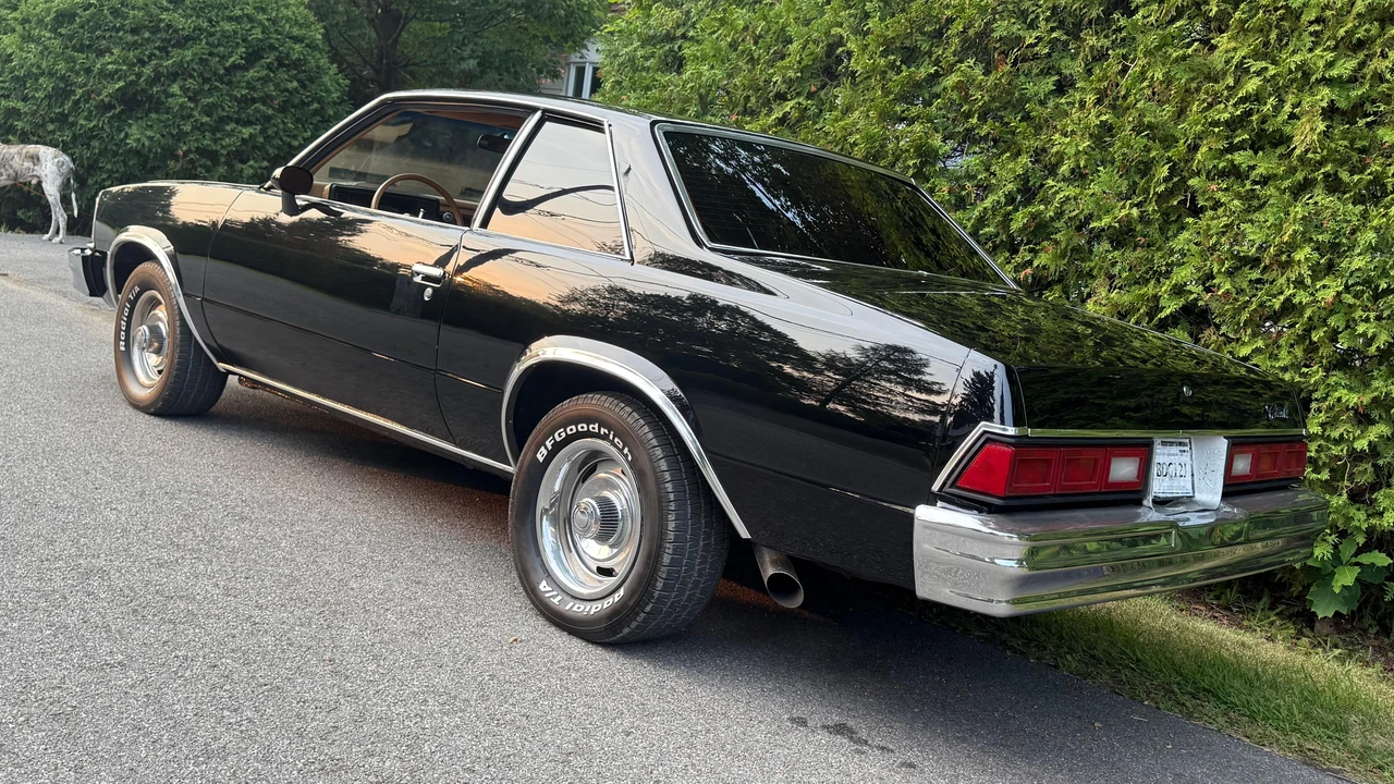 1978 Chevrolet Malibu - Image 10 of 31