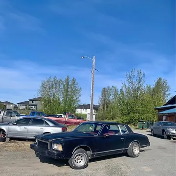 1978 Chevrolet Monte Carlo LS Coupe 2D